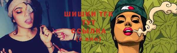ECSTASY Новозыбков