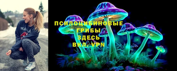 PSILOCYBIN Вязьма