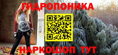 хмурый Гусь-Хрустальный