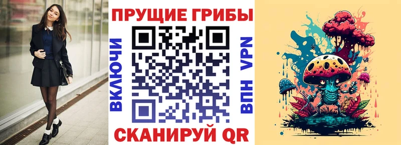 Псилоцибиновые грибы Cubensis Избербаш