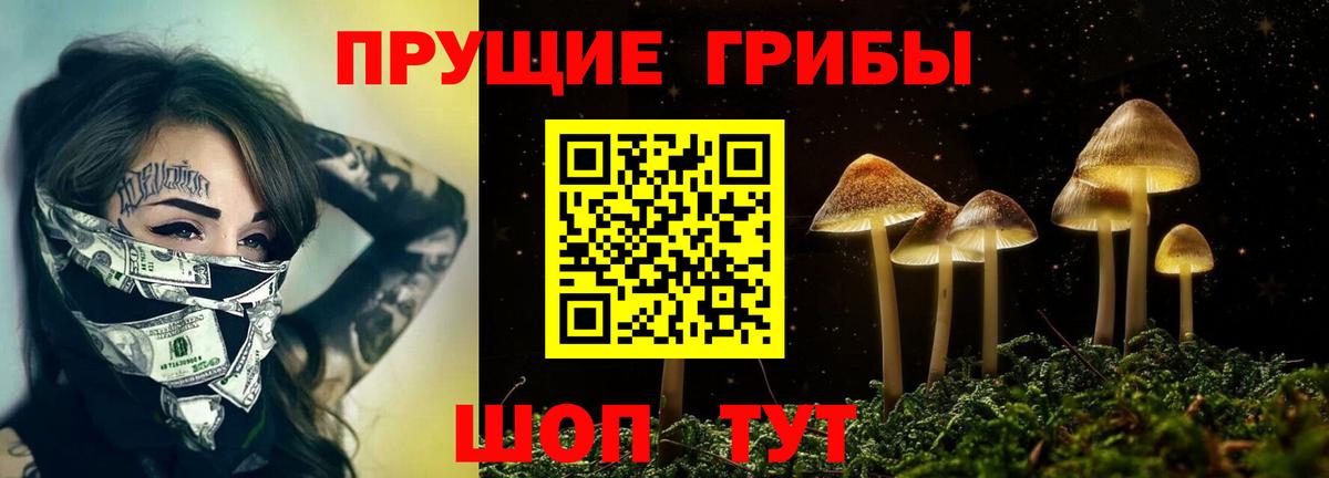 Псилоцибиновые грибы MAGIC MUSHROOMS  Избербаш 