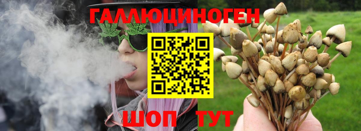 Псилоцибиновые грибы ЛСД Избербаш