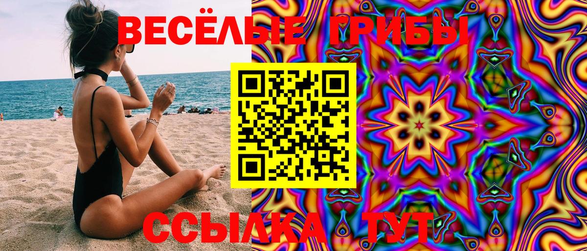 Псилоцибиновые грибы мицелий  Вход с VPN  Избербаш 