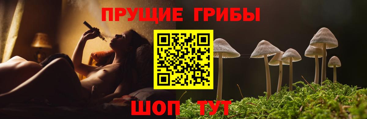 Галлюциногенные грибы MAGIC MUSHROOMS Избербаш